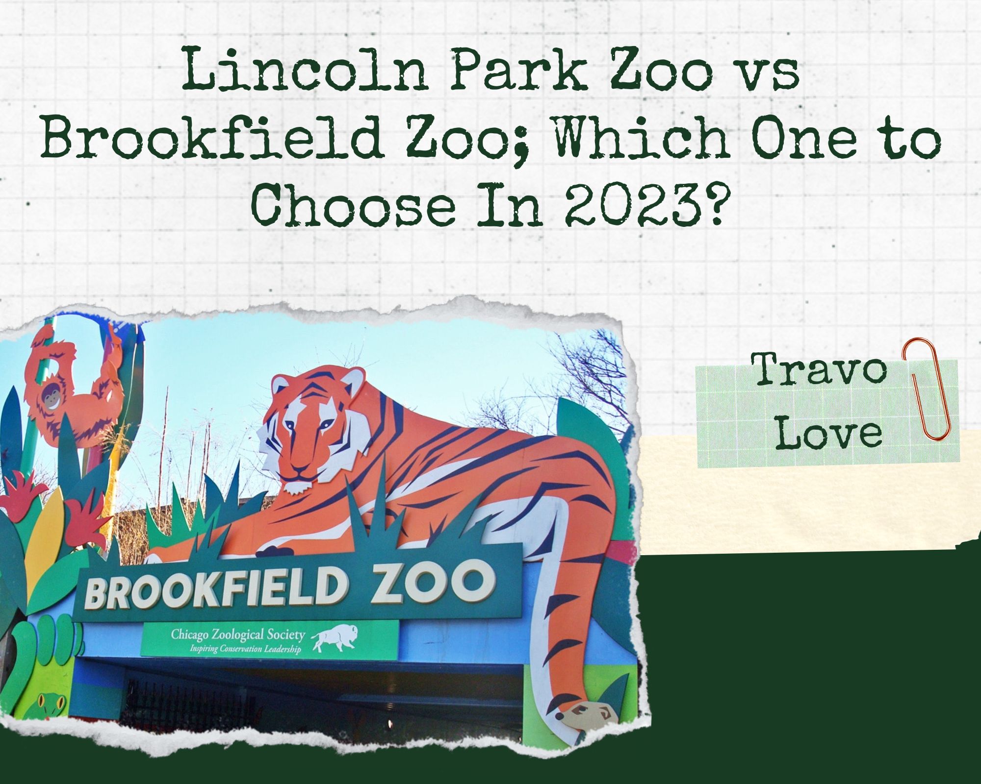 Lincoln Park Zoo vs Brookfield Zoo; Which One to Choose In 2023